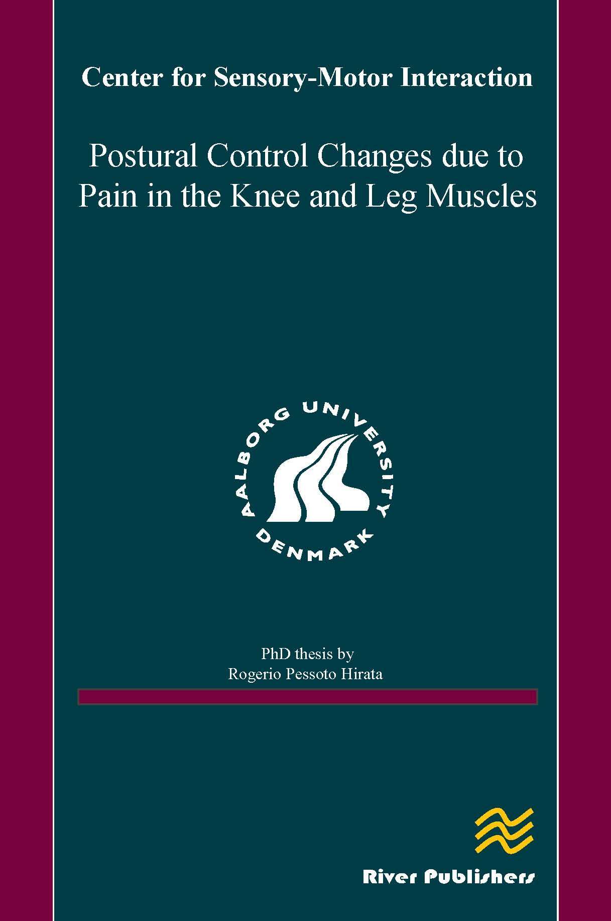 Postural Control Changes Due to Pain in the Knee and Leg Muscles
