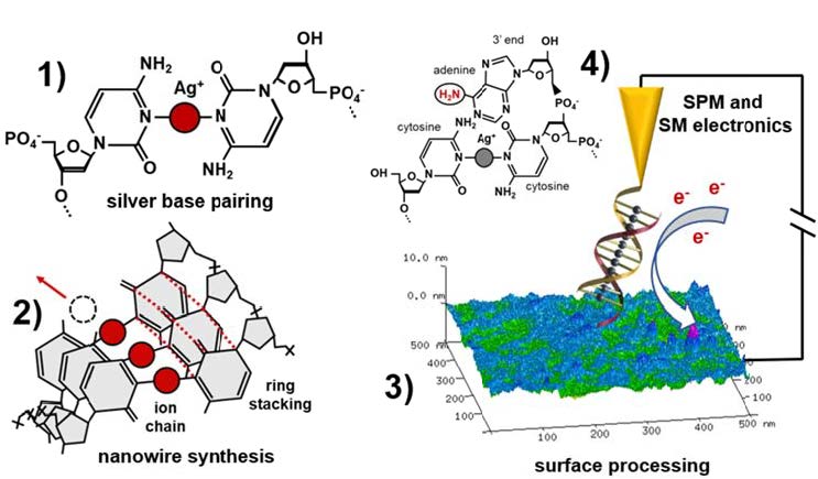 journal of self assembly and molecular